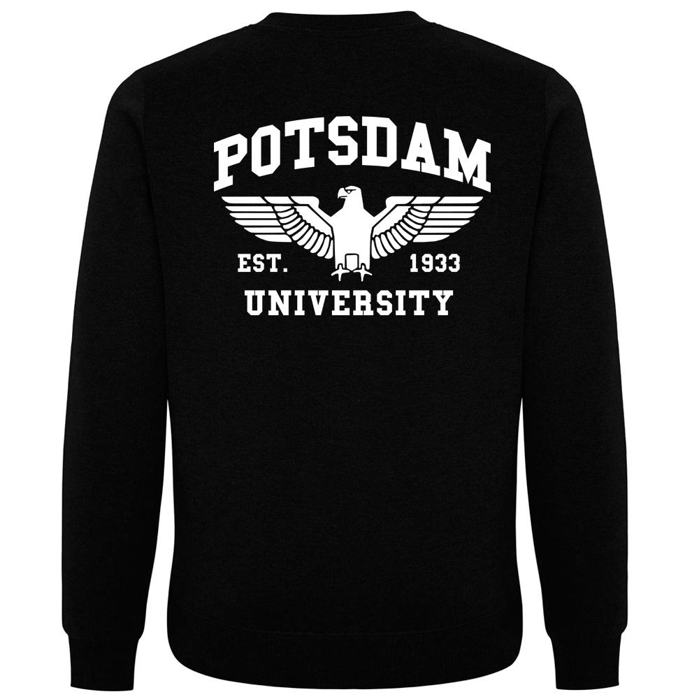 POTSDAM Pullover schwarz